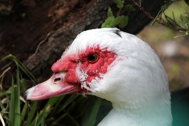 规范的制定 规范的制定