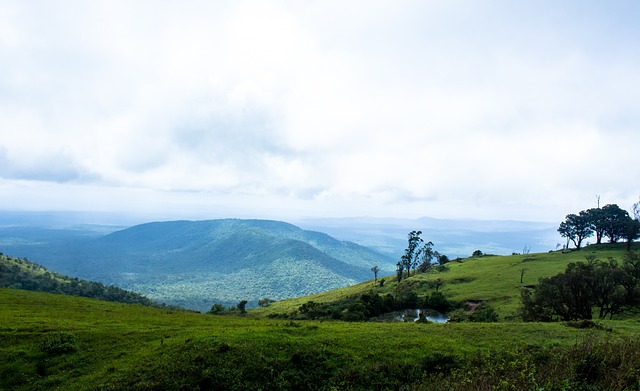 我们就来深 我们就来深