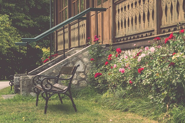 我们常被胜 我们常被胜