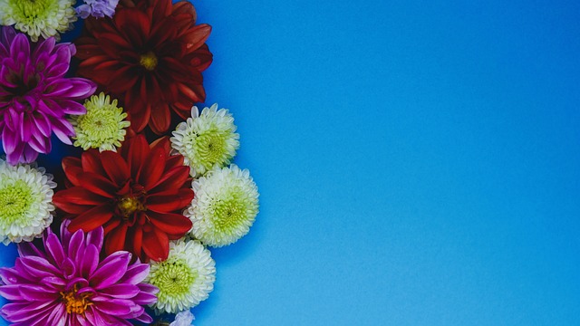 英超的每一 英超的每一